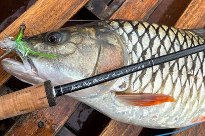 NES 8100-4 10'0" #8 シングルハンドフライロッド（サンプル機）とフライをくわえた大型魚｜ノースエッジスタンダード